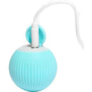 Brinquedo Bola Elétrica Interativa para Gatos e Cães – Rotação Automática USB Recarregável