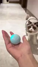 Brinquedo Bola Elétrica Interativa para Gatos e Cães – Rotação Automática USB Recarregável