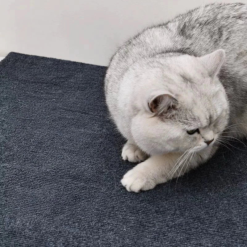 Tapete Arranhador Adesivo para Gatos – Proteção de Sofá e Móveis